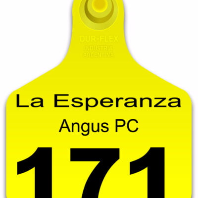 Caravanas de Producción Especiales